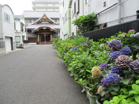 128長国寺2