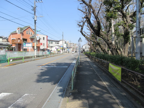 144緑道へ