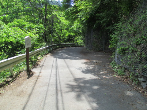 201惣岳渓谷1