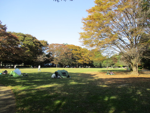 156西城沼公園7