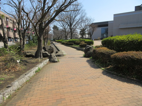 181桜川緑道1
