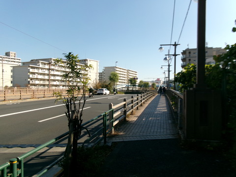 50柳島橋