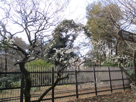 50散歩道9