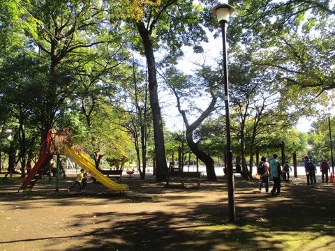 05武蔵関公園3