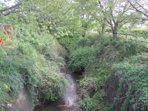 120兵庫橋6