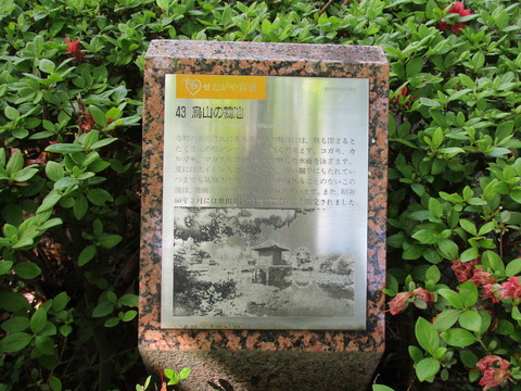 138高源院9