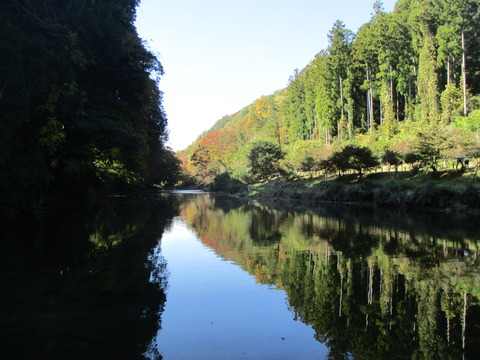 121飛び石3