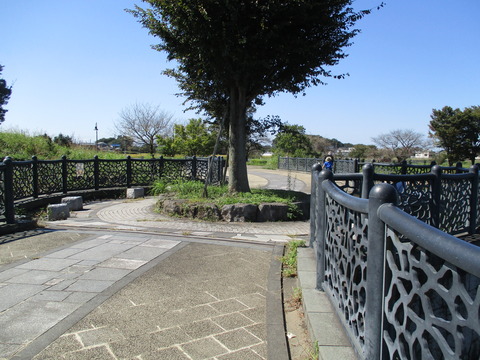 102柴山沼12