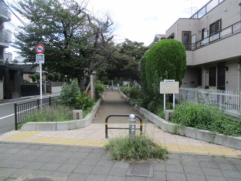 50蛇崩川緑道3