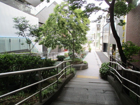 53旧渋谷川歩道続き2