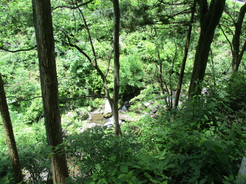 135小中沢
