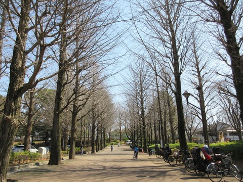 143公園出口