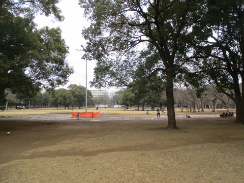 149行田公園3