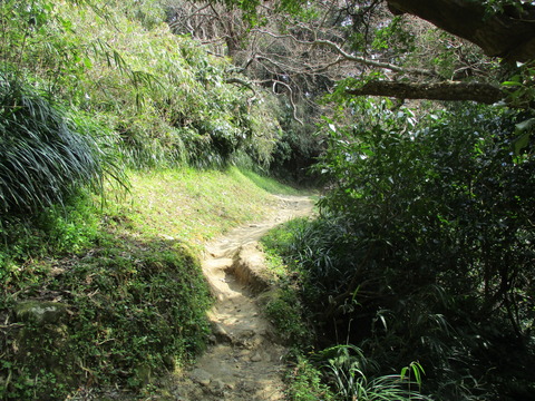 106山道6