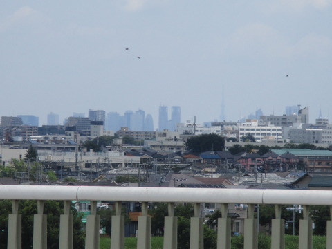 90結城大橋5