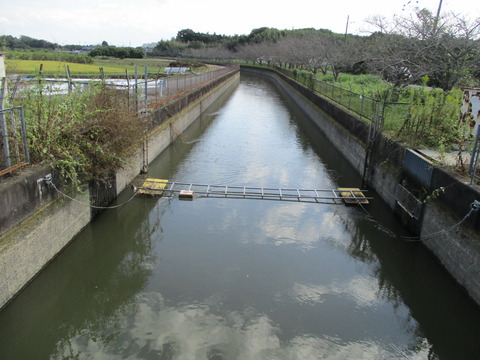 201折戸橋3