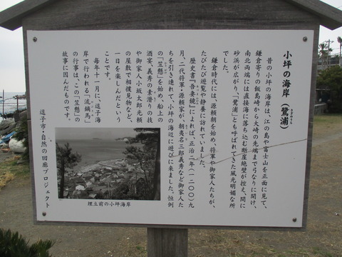 182小坪漁港2
