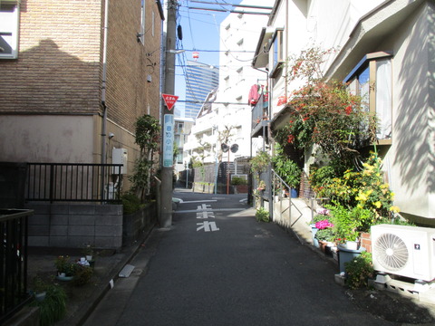 43春の小川道7