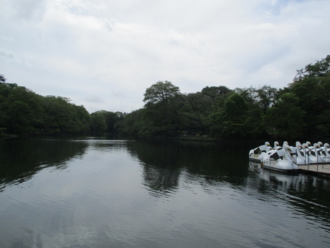 09七井橋4