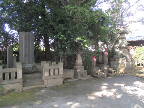 231教学院12