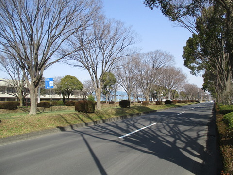 22広い通り3