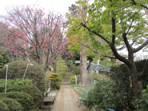 17秋葉神社・金比羅神社4