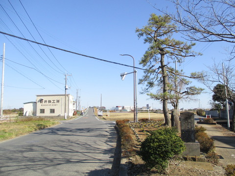 151松の木公園2