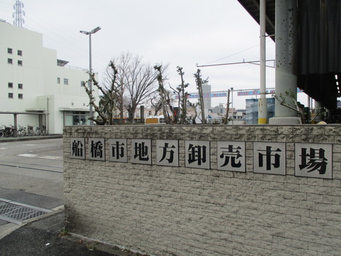 115市場2