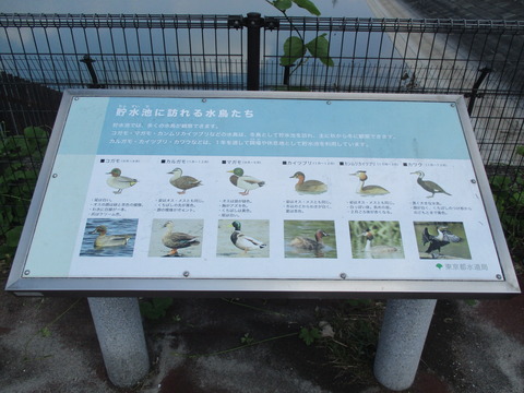 56広場3