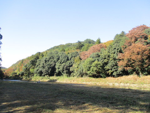 116嵐山渓谷9