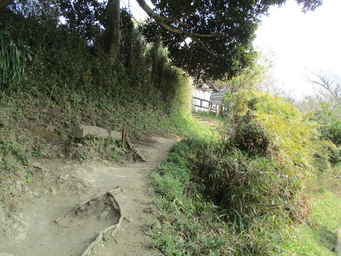 107山道7