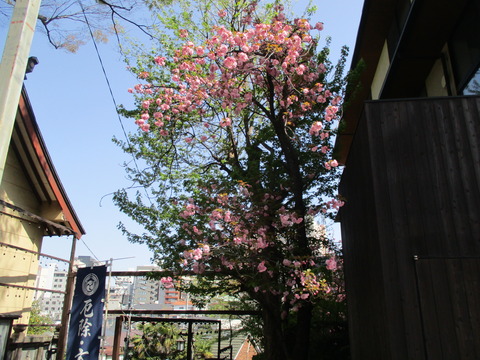 83須賀神社28
