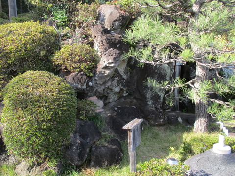 175天磐戸明が指宮15
