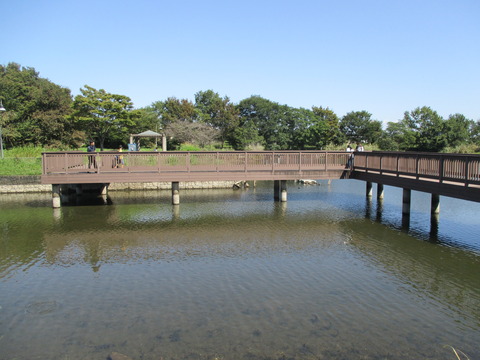 113柴山沼23