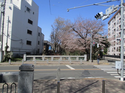 35桜橋2
