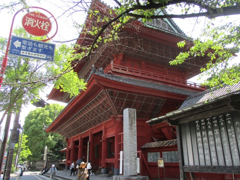 184増上寺1