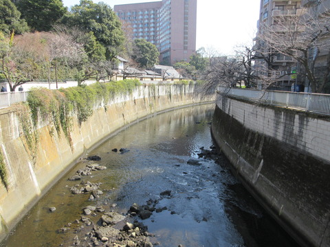 43駒塚橋2
