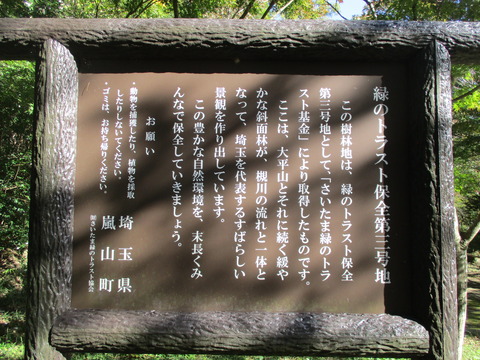 136展望台2
