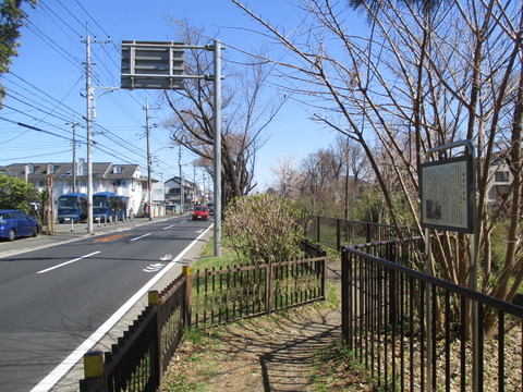 153御成の松跡1