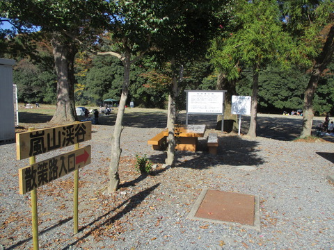 108嵐山渓谷1