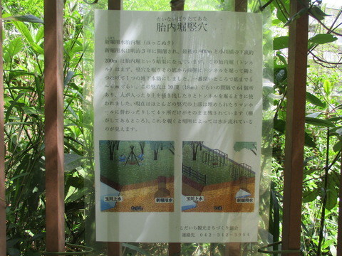 46胎内堀竪穴3