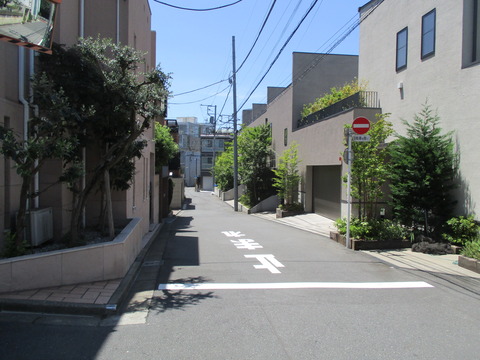 50旧いもり川道9