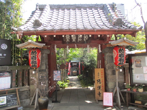 133陽運寺2