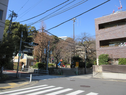 145狸穴公園