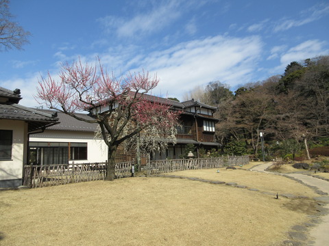 35庭園6