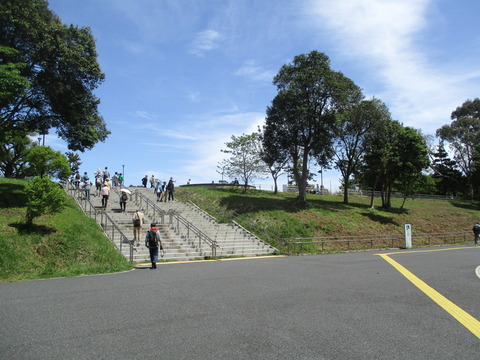 11夢の島公園４