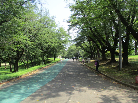 07稲荷山公園5