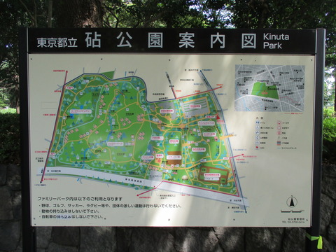 09砧公園3