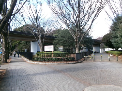 89展望デッキ１
