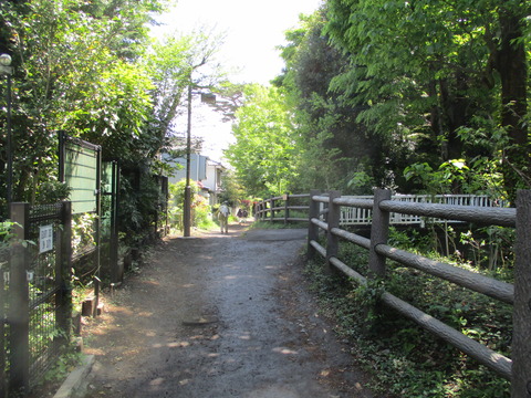 69松影橋1